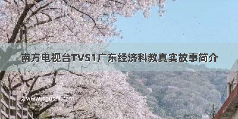 南方电视台TVS1广东经济科教真实故事简介