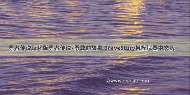勇者传说汉化版勇者传说/勇敢的故事 BraveStory带模拟器中文版