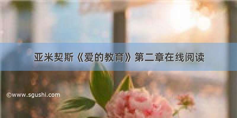 亚米契斯《爱的教育》第二章在线阅读