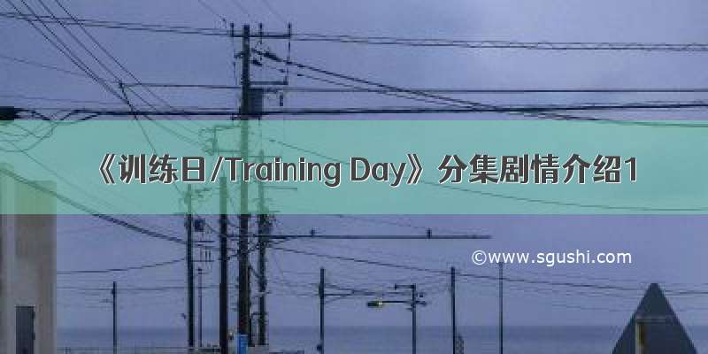《训练日/Training Day》分集剧情介绍1