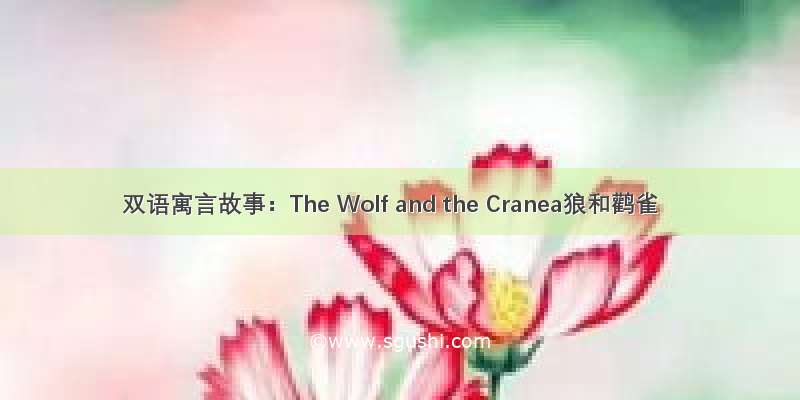 双语寓言故事：The Wolf and the Cranea狼和鹳雀