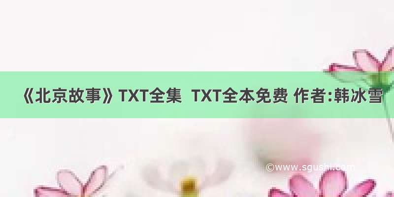 《北京故事》TXT全集  TXT全本免费 作者:韩冰雪