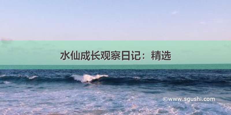 水仙成长观察日记：精选