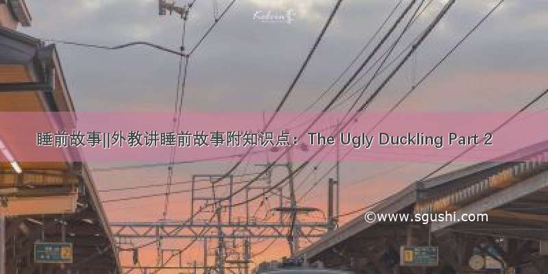 睡前故事‖外教讲睡前故事附知识点：The Ugly Duckling Part 2