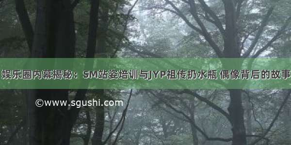 娱乐圈内幕揭秘：SM站姿培训与JYP祖传扔水瓶 偶像背后的故事