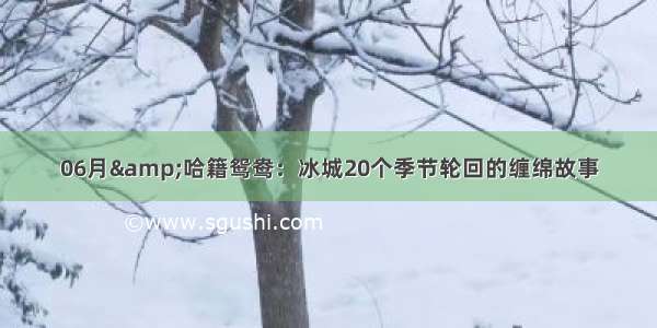 06月&哈籍鸳鸯：冰城20个季节轮回的缠绵故事